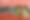Enlarge the image
