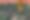 Enlarge the image